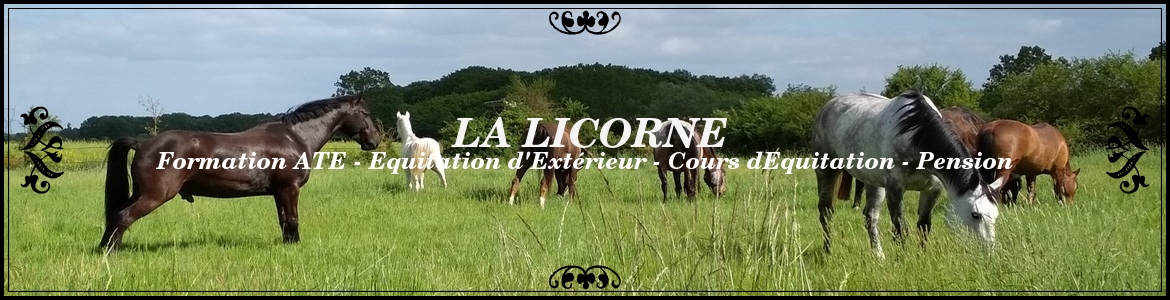 LA LICORNE